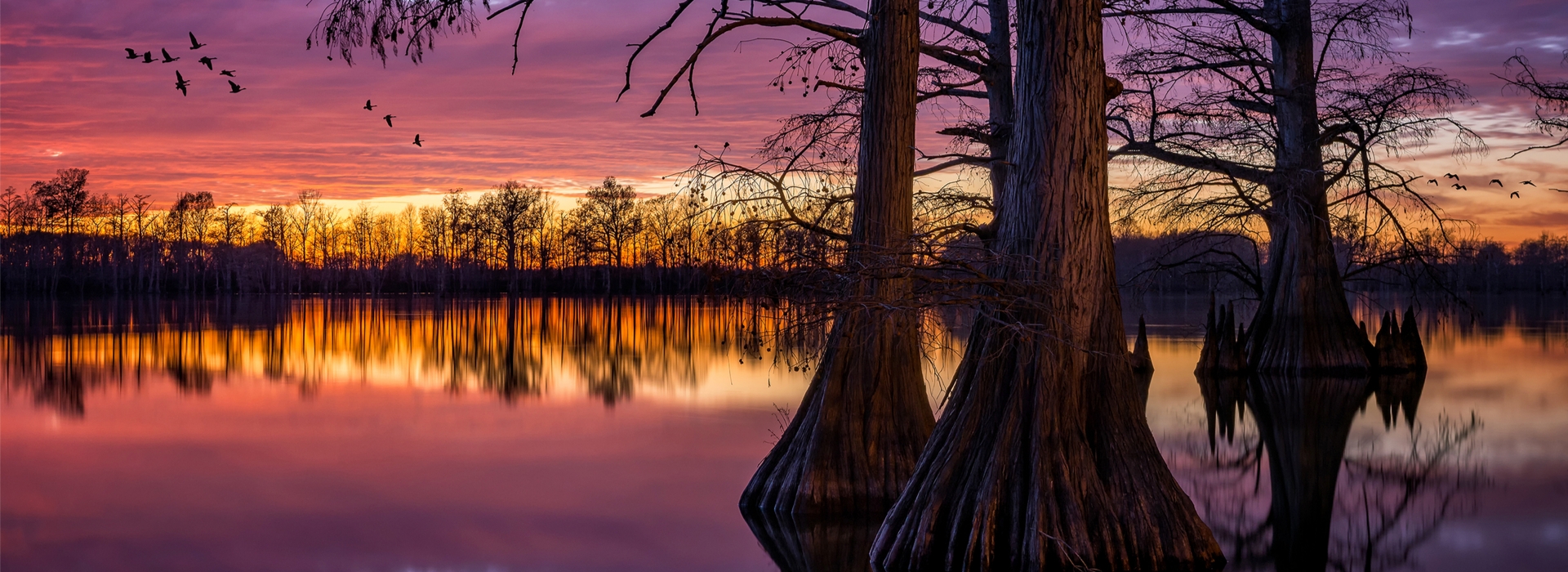 b-d-outfitters-illinois-waterfowl-hunts