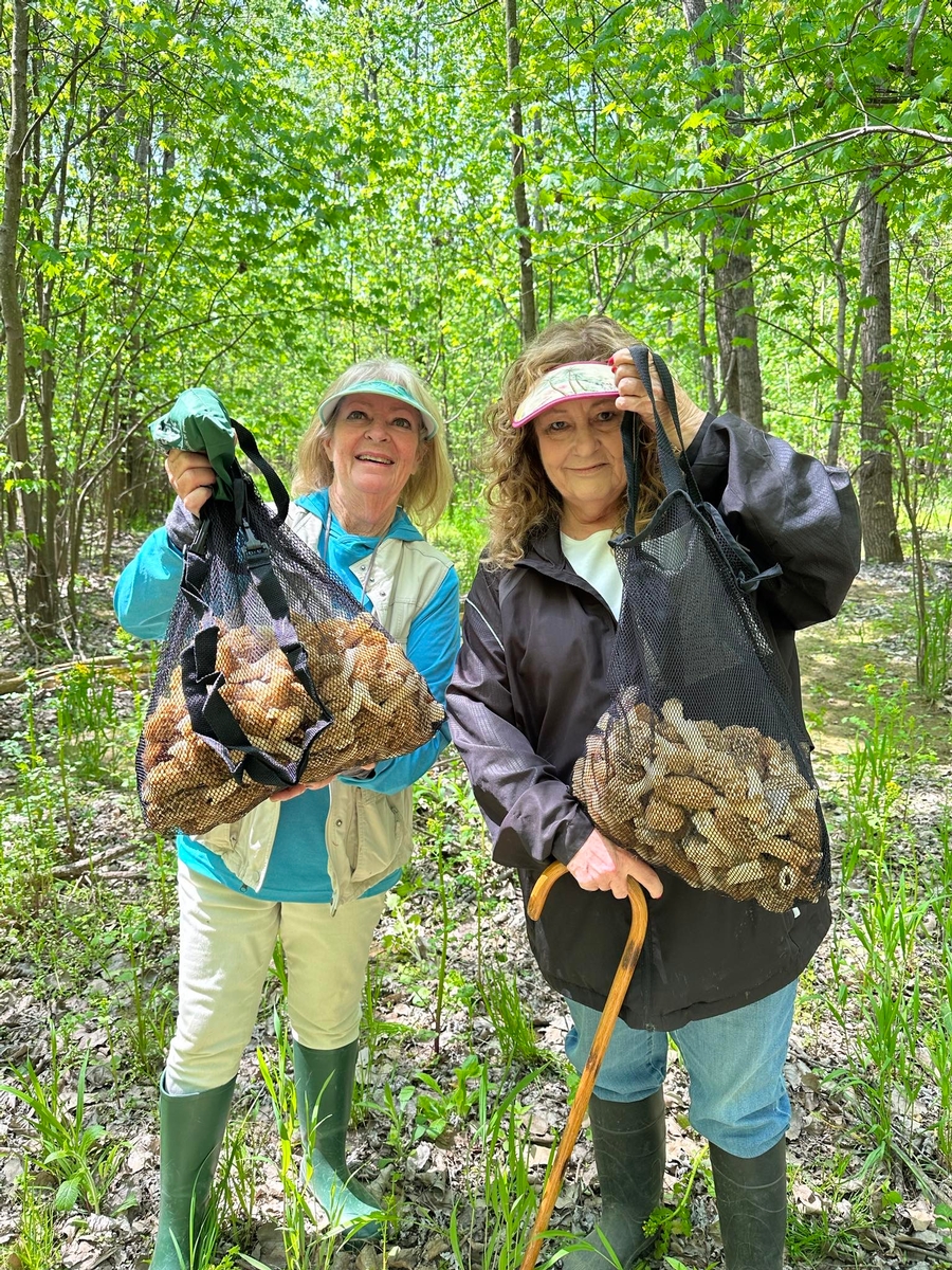 Morel Mushroom Hunting 2025